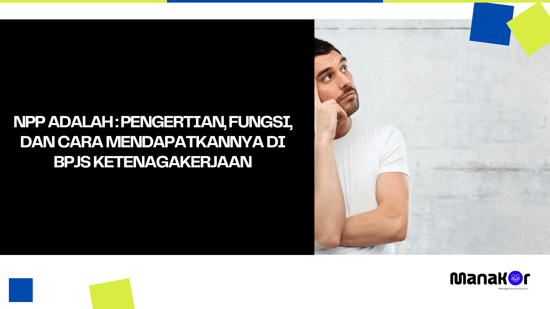 NPP adalah