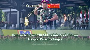 Urutan Pangkat TNI AL Marinir