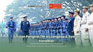 Urutan Pangkat TNI AU