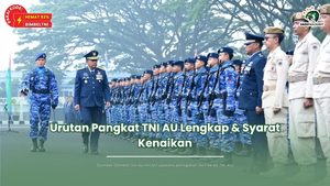 Urutan Pangkat TNI AU
