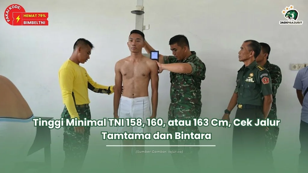 tinggi minimal tni