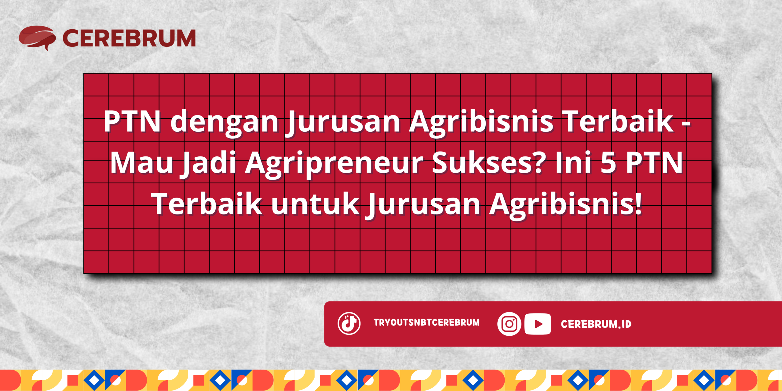 PTN dengan Jurusan Agribisnis Terbaik