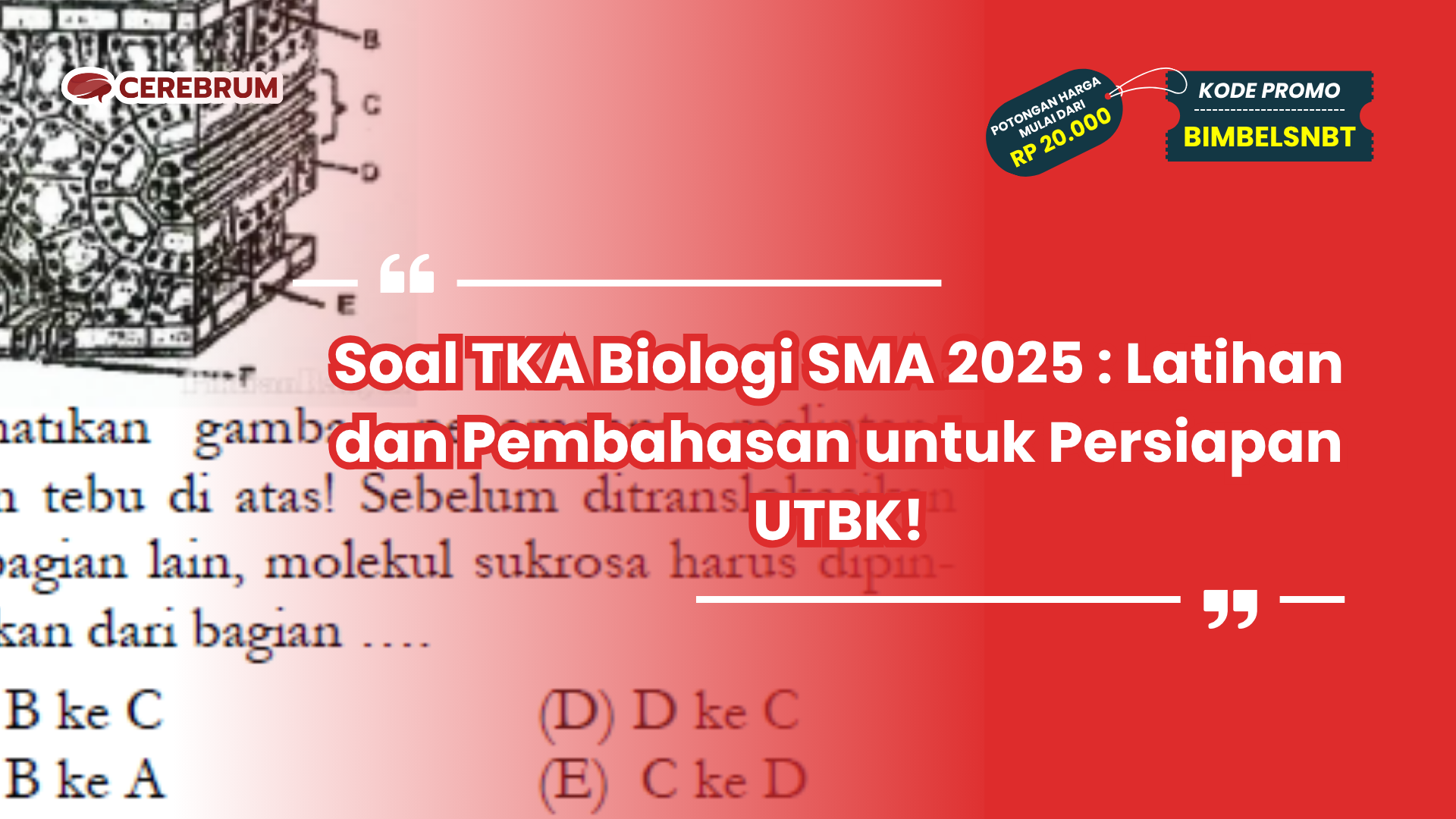 soal tka sma biologi