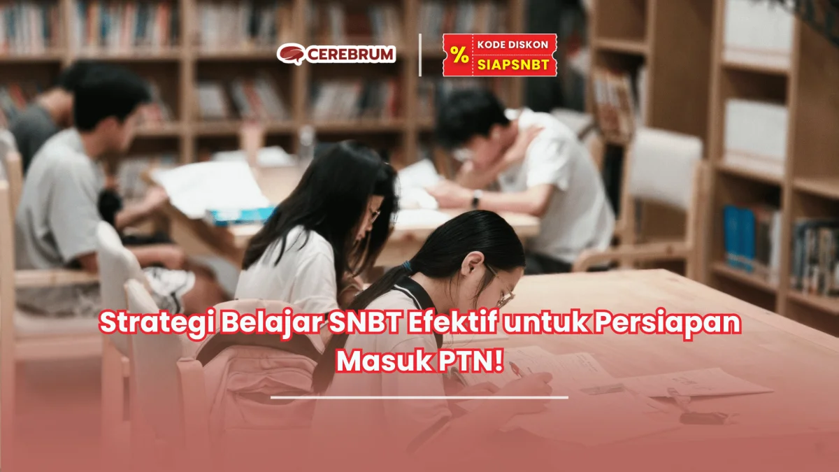 strategi belajar SNBT