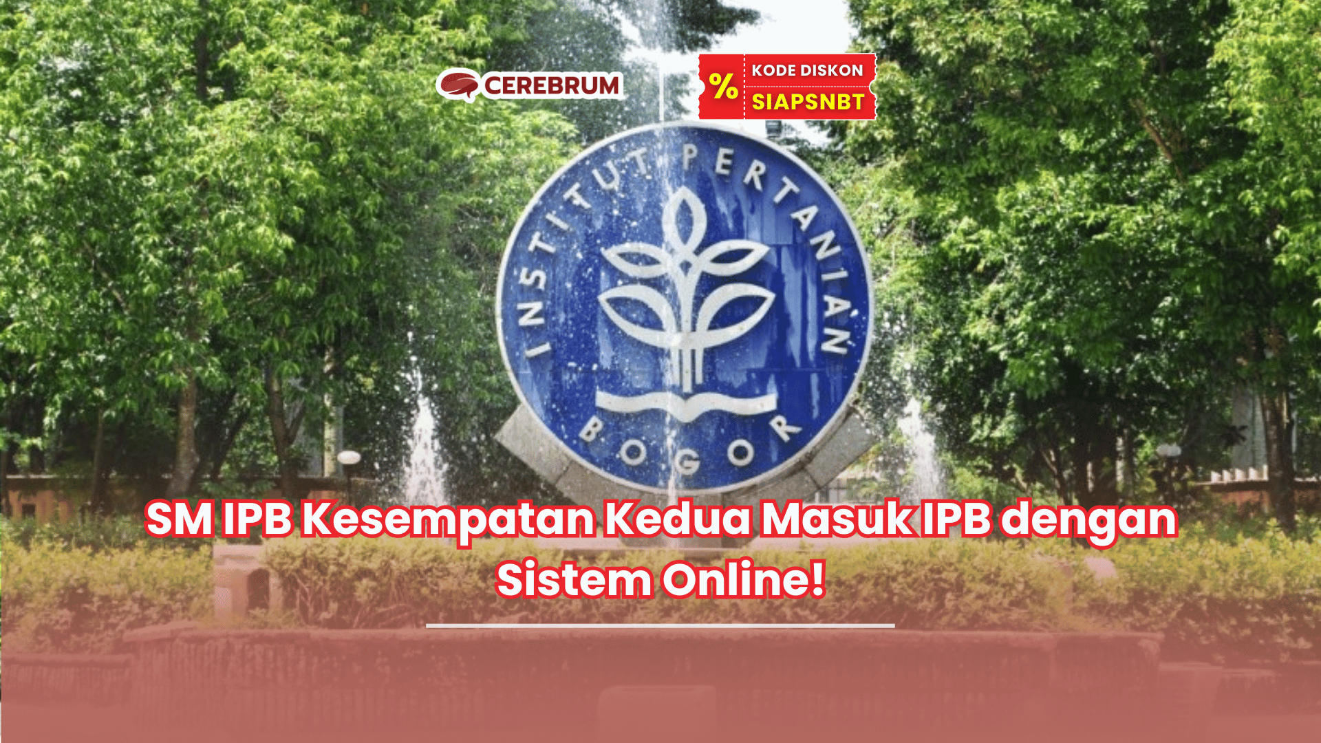 SM IPB