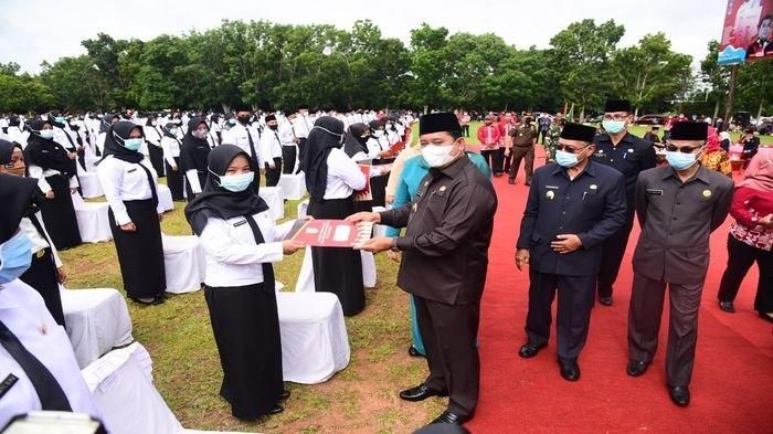 kapan cpns 2026 dibuka
