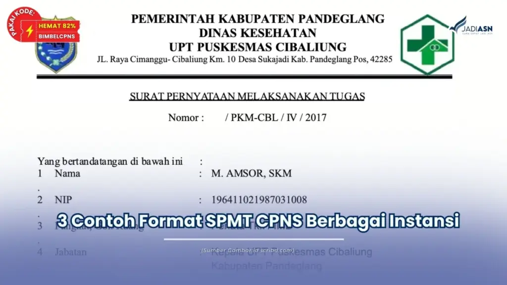 spmt cpns adalah