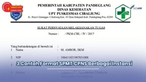 spmt cpns adalah