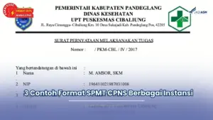 spmt cpns adalah