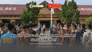 apa itu tms casis