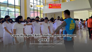casis itu apa
