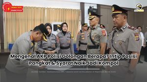 AKP Polisi Golongan Berapa