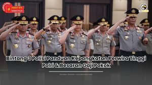 Bintang 3 Polisi