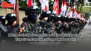 Jabatan Polisi Apa Aja