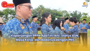 kepanjangan pppk