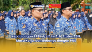 kepanjangan pppk